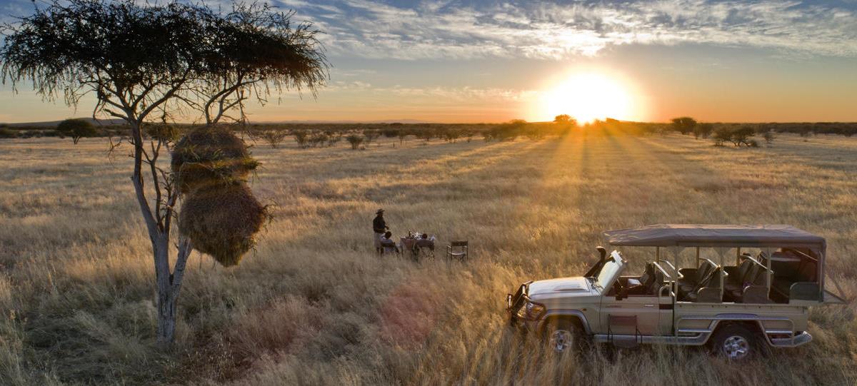 Long Stay Discount - Natural Selection