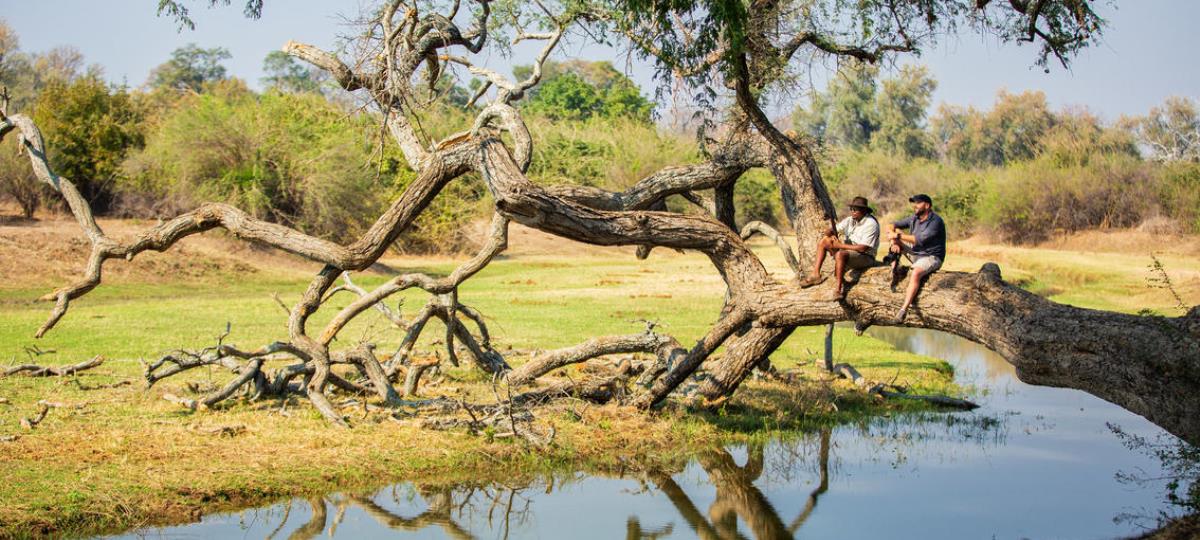 Stay 4 Nights Pay 3 - Great Plains