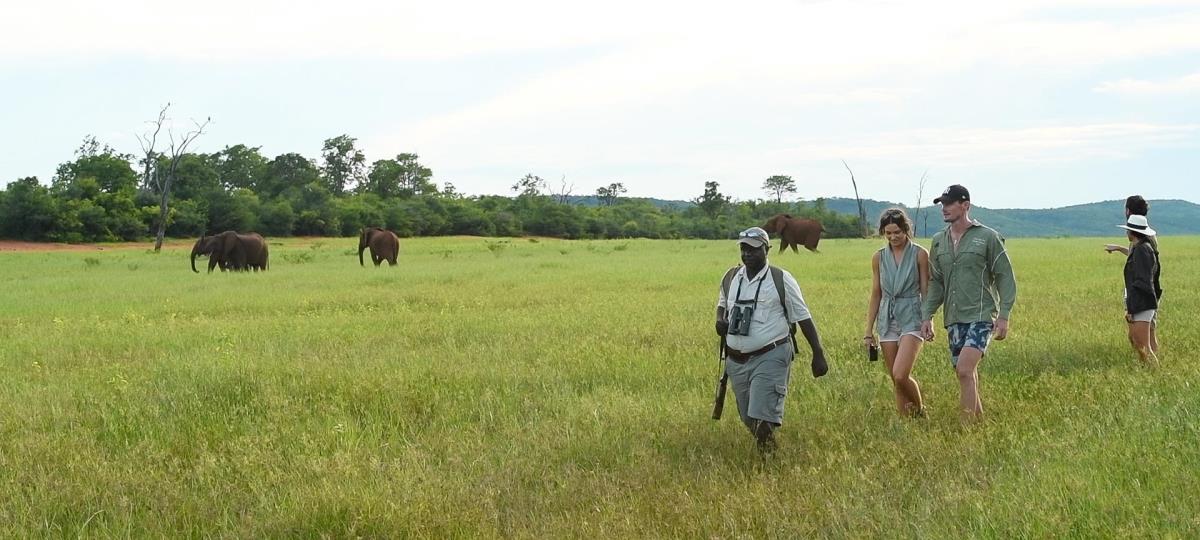 Zimbabwe Circuit by Private Label Guide