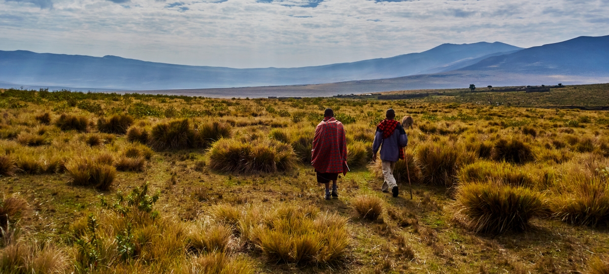 Hike across East Africa
